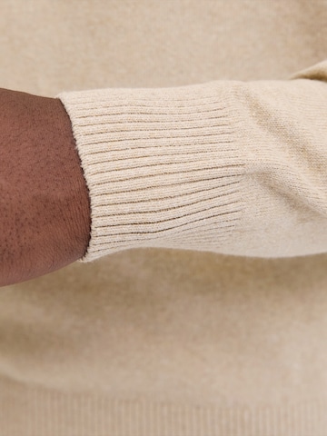 JJ Rebel Sweater 'JREBCALLUM' in Beige