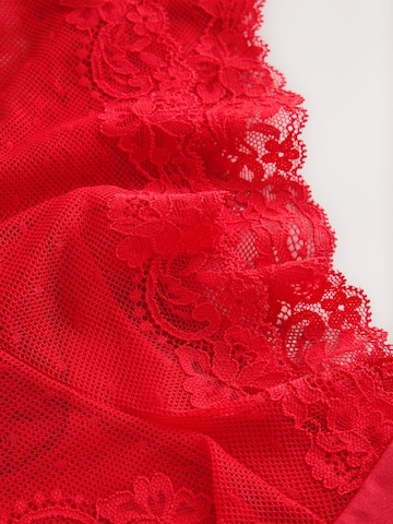 Next Slip in Rood