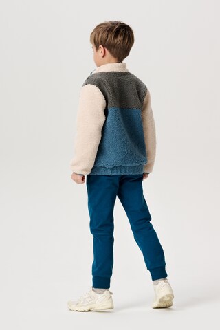Noppies Gebreid vest 'Herry' in Blauw