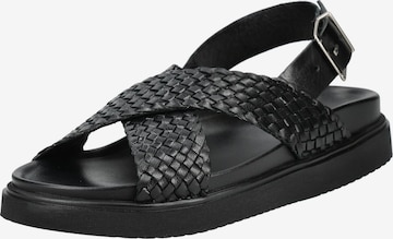 PAVEMENT Sandals in Black: front