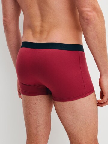 Boxers 'Cotton Special' CALIDA en mélange de couleurs