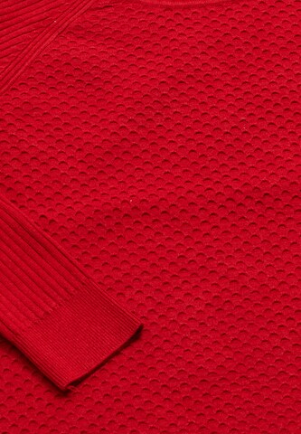 carato Pullover in Rot