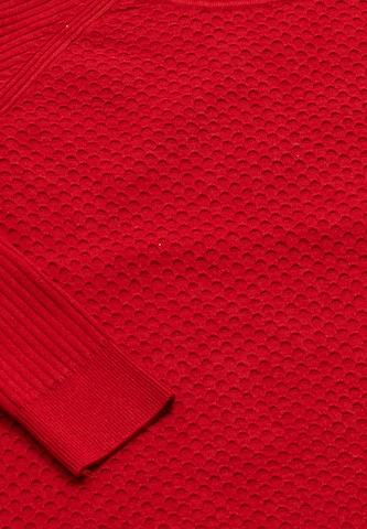 carato Pullover in Rot