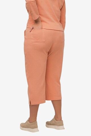 Ulla Popken Regular Hose  (GOTS) in Orange