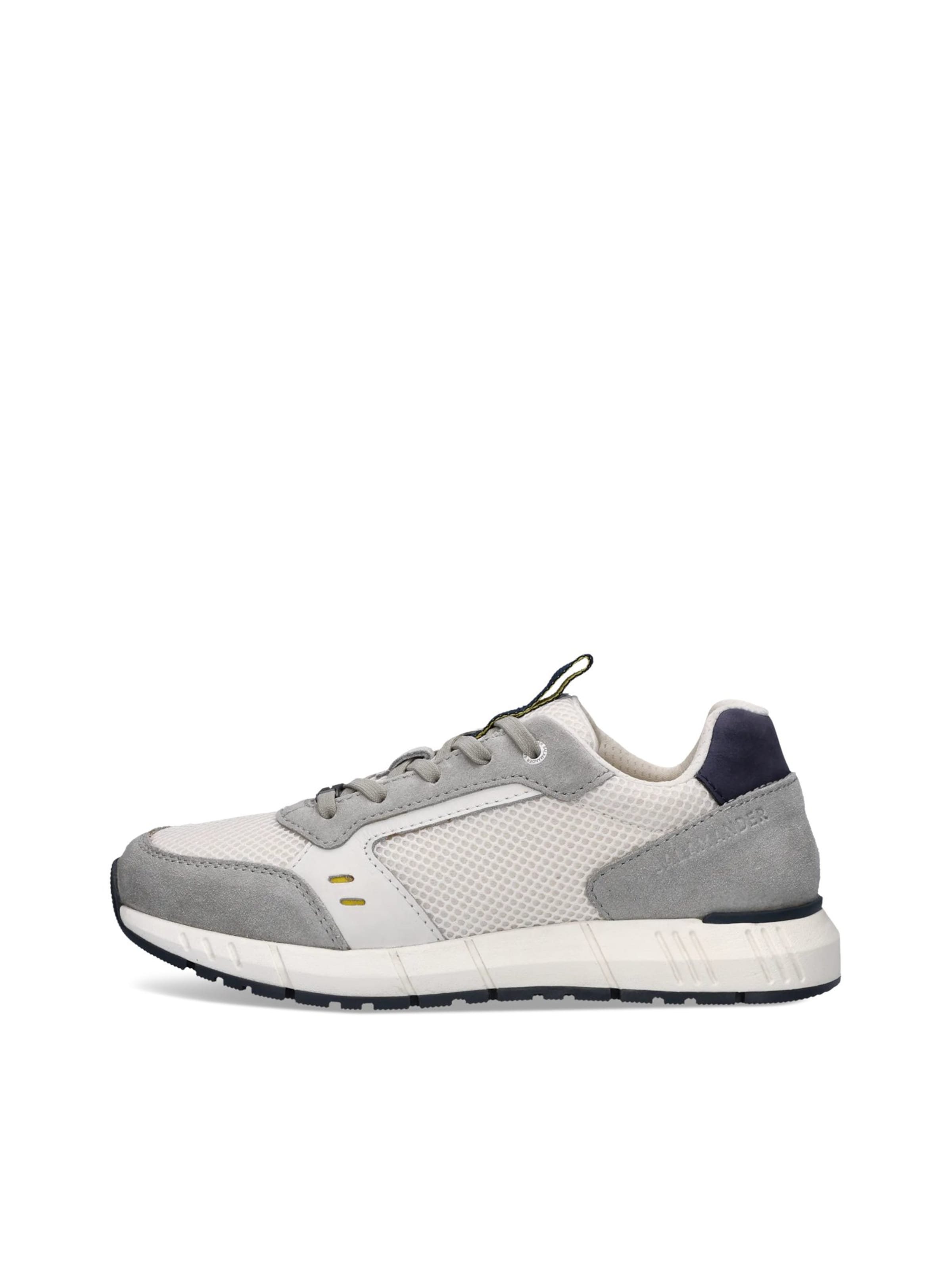 SALAMANDER - Zapatillas deportivas bajas en gris