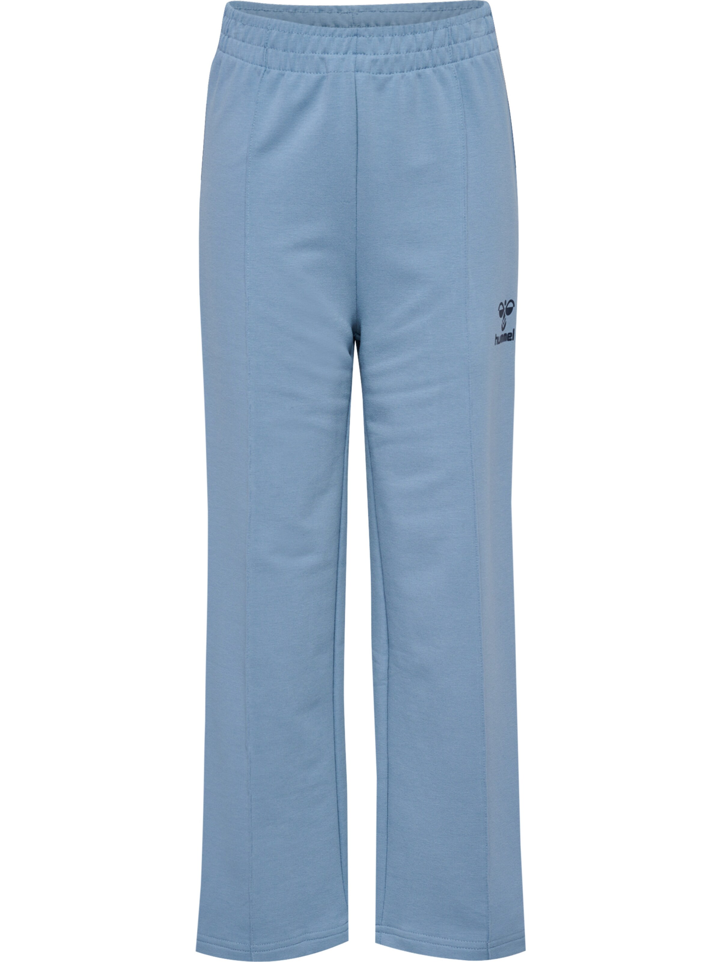 Regular Pantalon Hummel en bleu : devant
