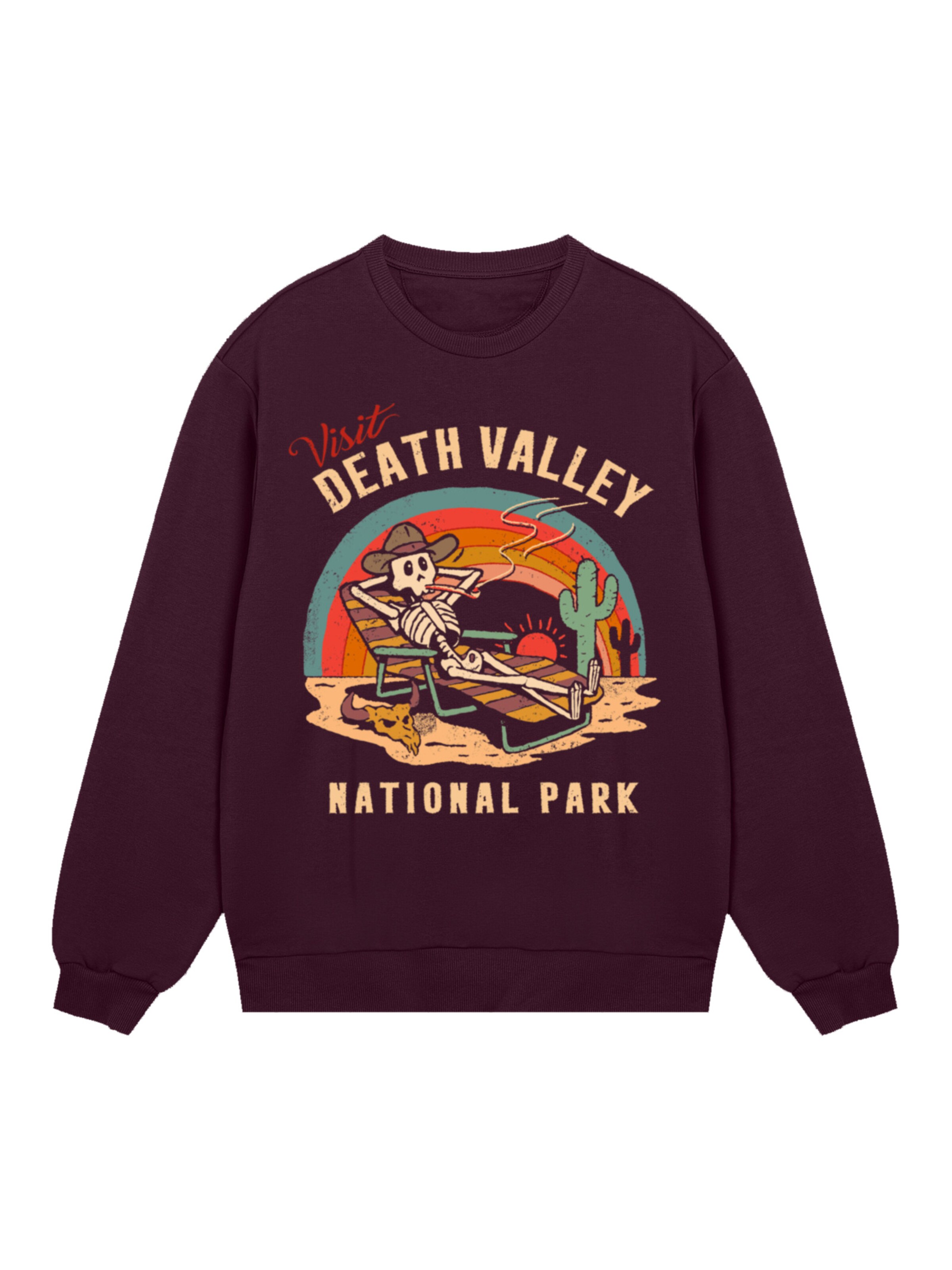 F4NT4STIC Sweatshirt 'US National Parks Visit Death Valley' in Brown: front