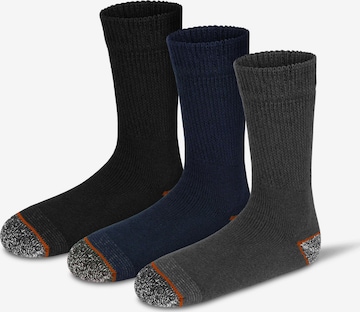 normani Socken in Mischfarben: predná strana