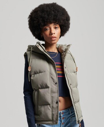 Superdry Bodywarmer 'Everest' in Groen: voorkant