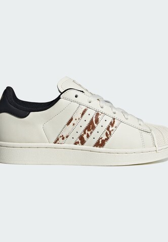 ADIDAS ORIGINALS - Sapatilhas baixas 'Superstar II' em branco