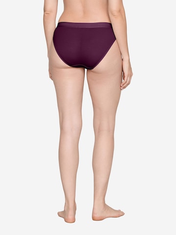 JOOP! Slip ' Intimate Apparel ' in Bruin