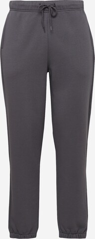 ABOUT YOU Tapered Hose 'Jake' in Grau: predná strana