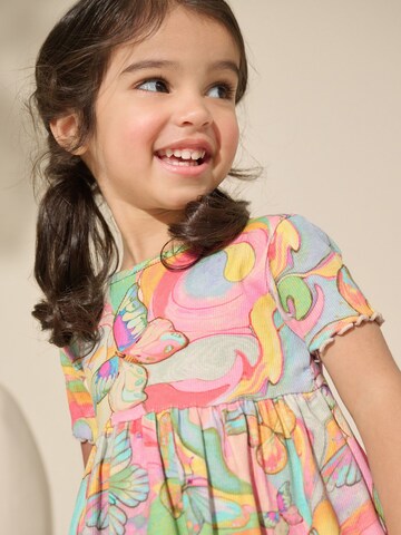 Next Dress in Mixed colours