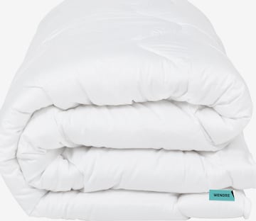 Wendre Blankets in White
