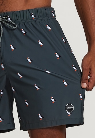 Shiwi Board Shorts 'puffin 4-way stretch' in Grün