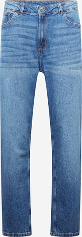 Denim Project Regular Jeans 'Chicago' in Blau: predná strana