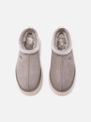 UGG Сабо 'Tazz II' в Зеленый