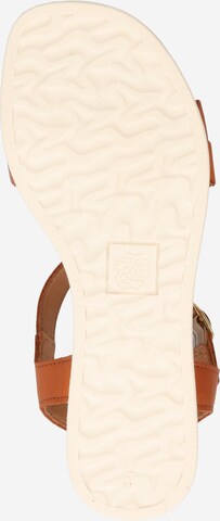 Apple of Eden Sandals 'Inez 10' in Brown