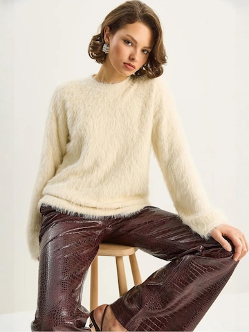 Bianco Lucci Kampsun 'Pullover', värv beež