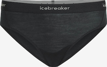 ICEBREAKER Športové nohavičky 'Sprite' - Sivá: predná strana