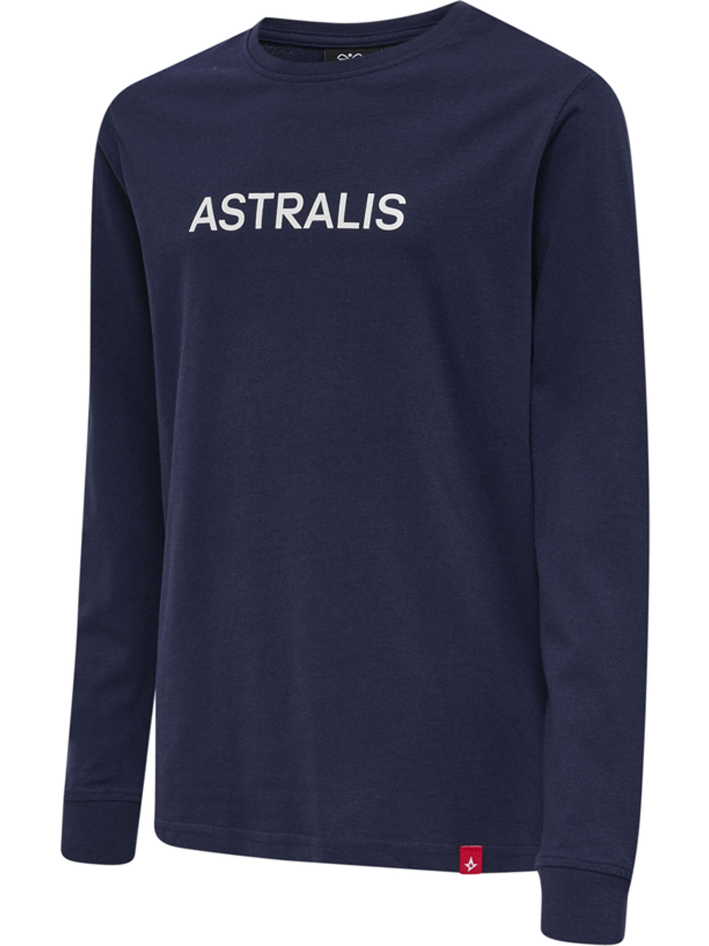 Hummel Shirt in Blue