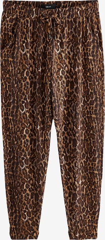 Effilé Pantalon Next en marron : devant