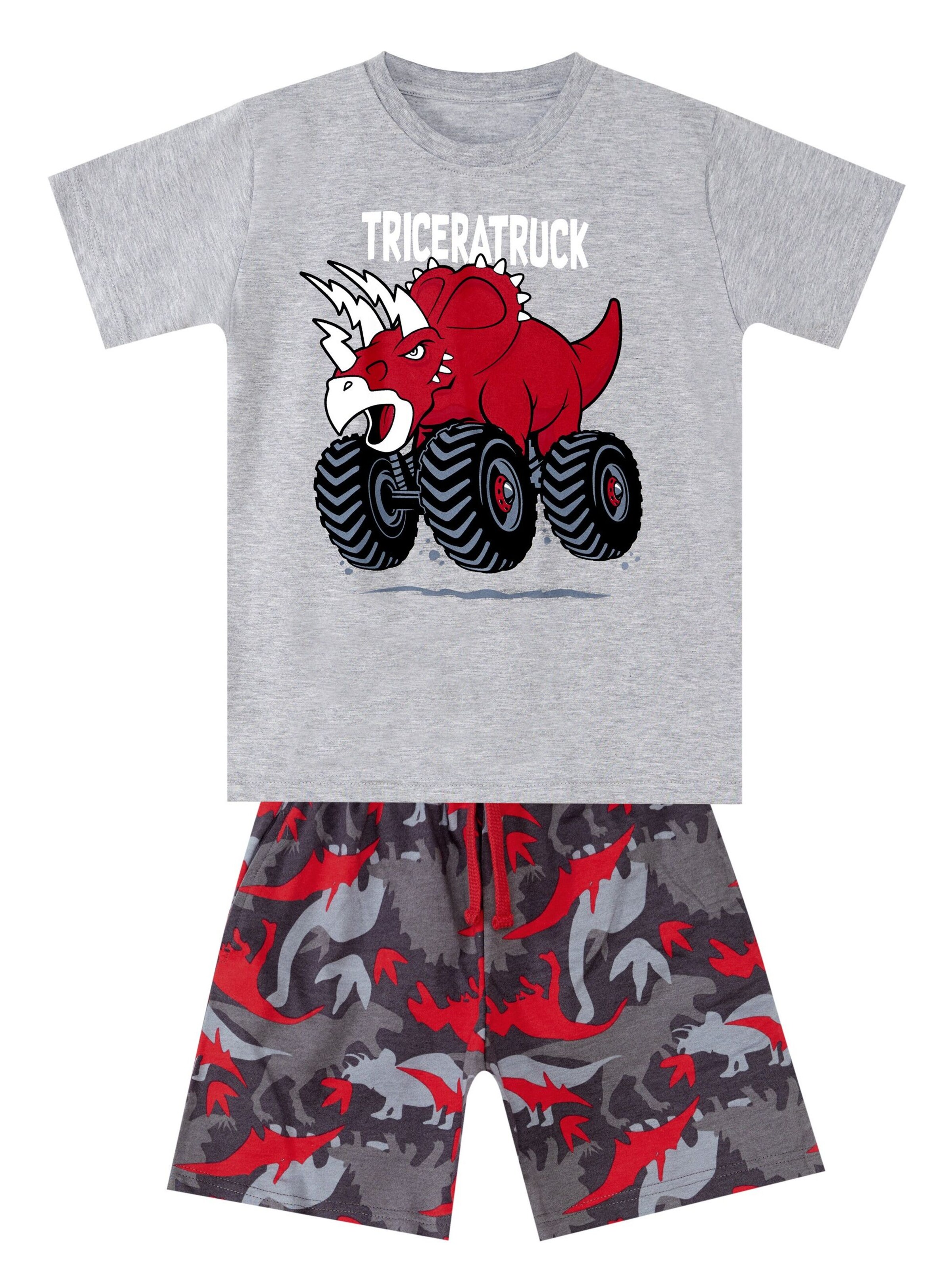 Denokids Set 'Triceratruck' in Grau: Vorderseite