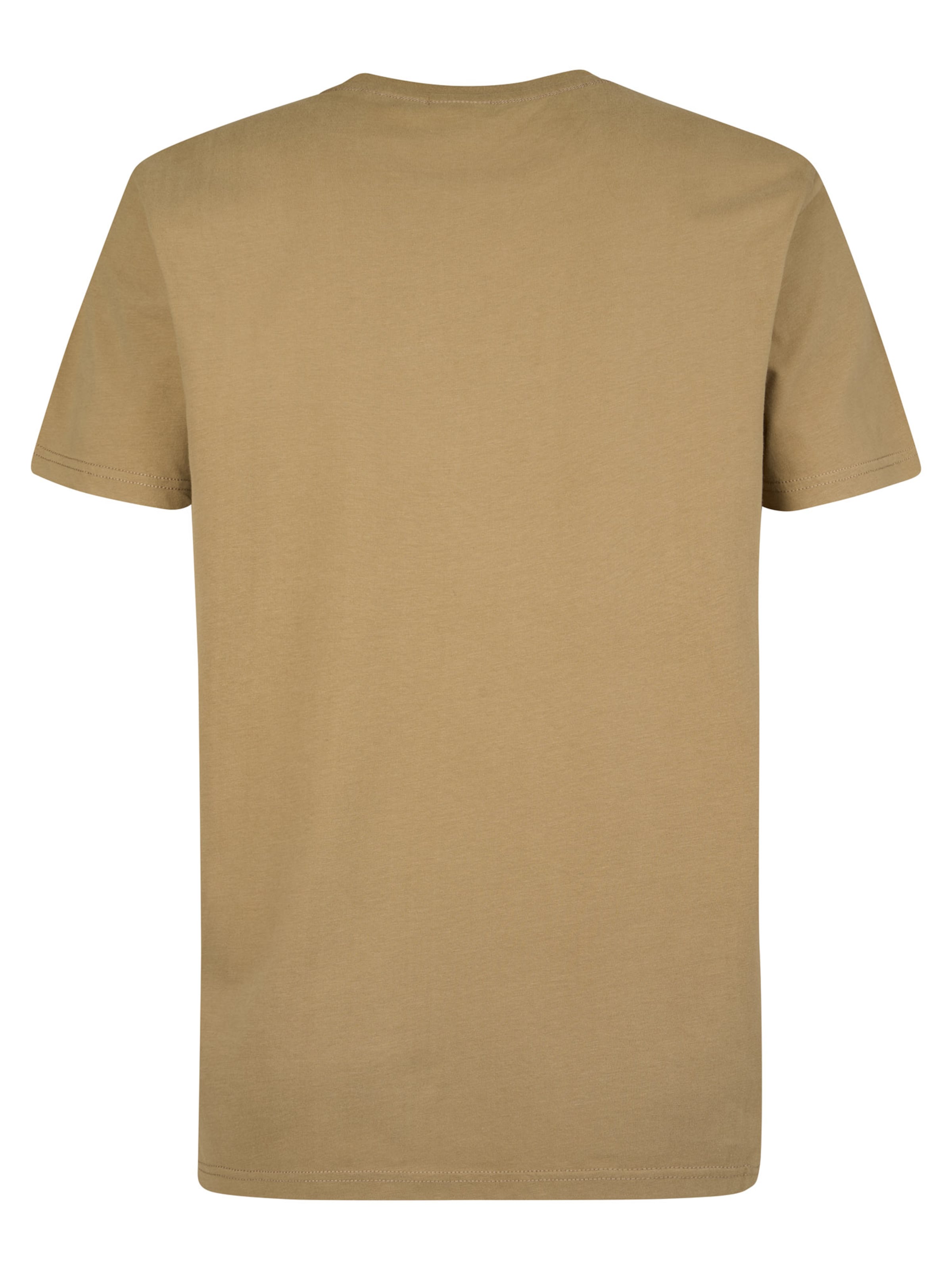 Petrol Industries Shirt in Bruin