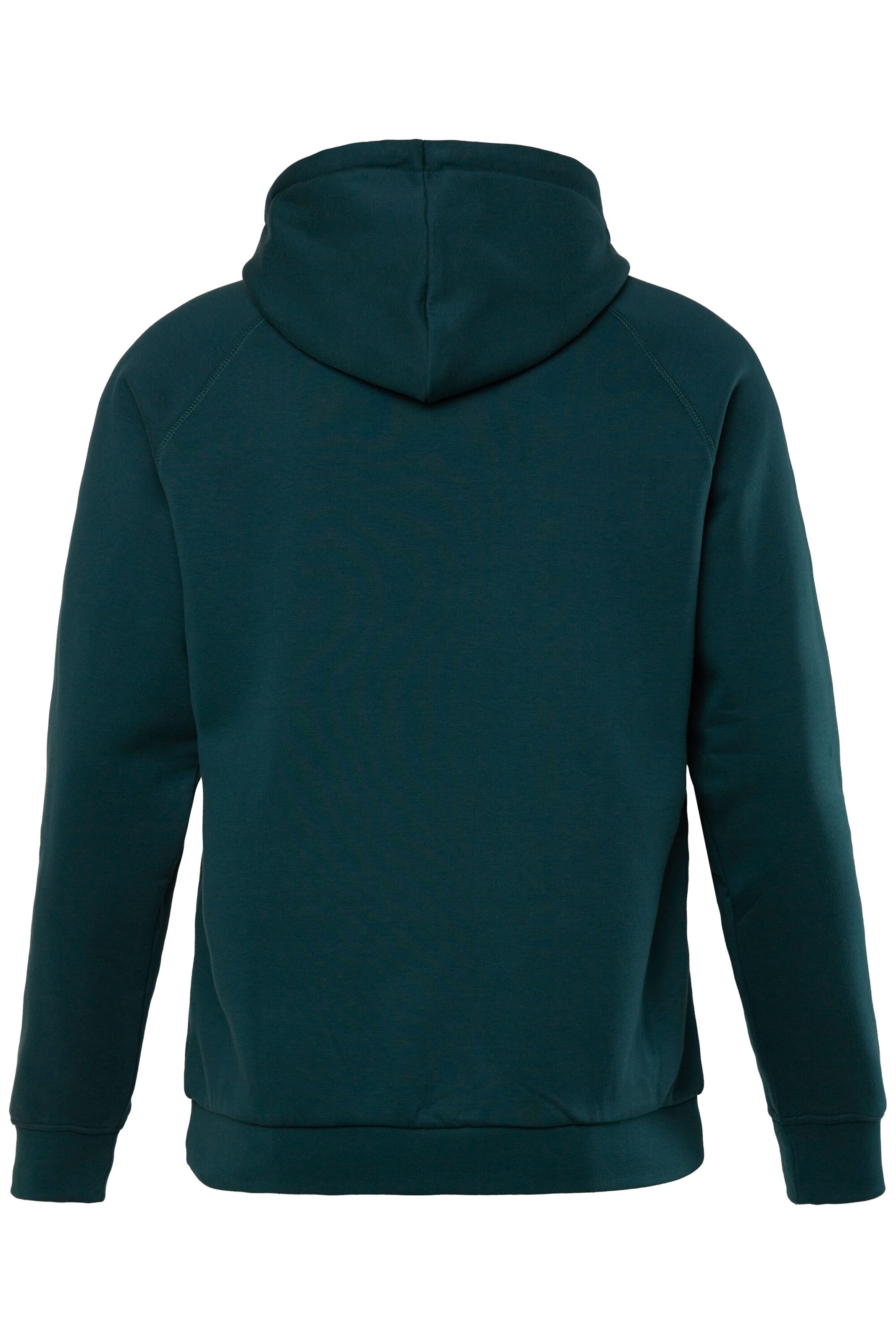 JAY-PI Sweatshirt in Groen