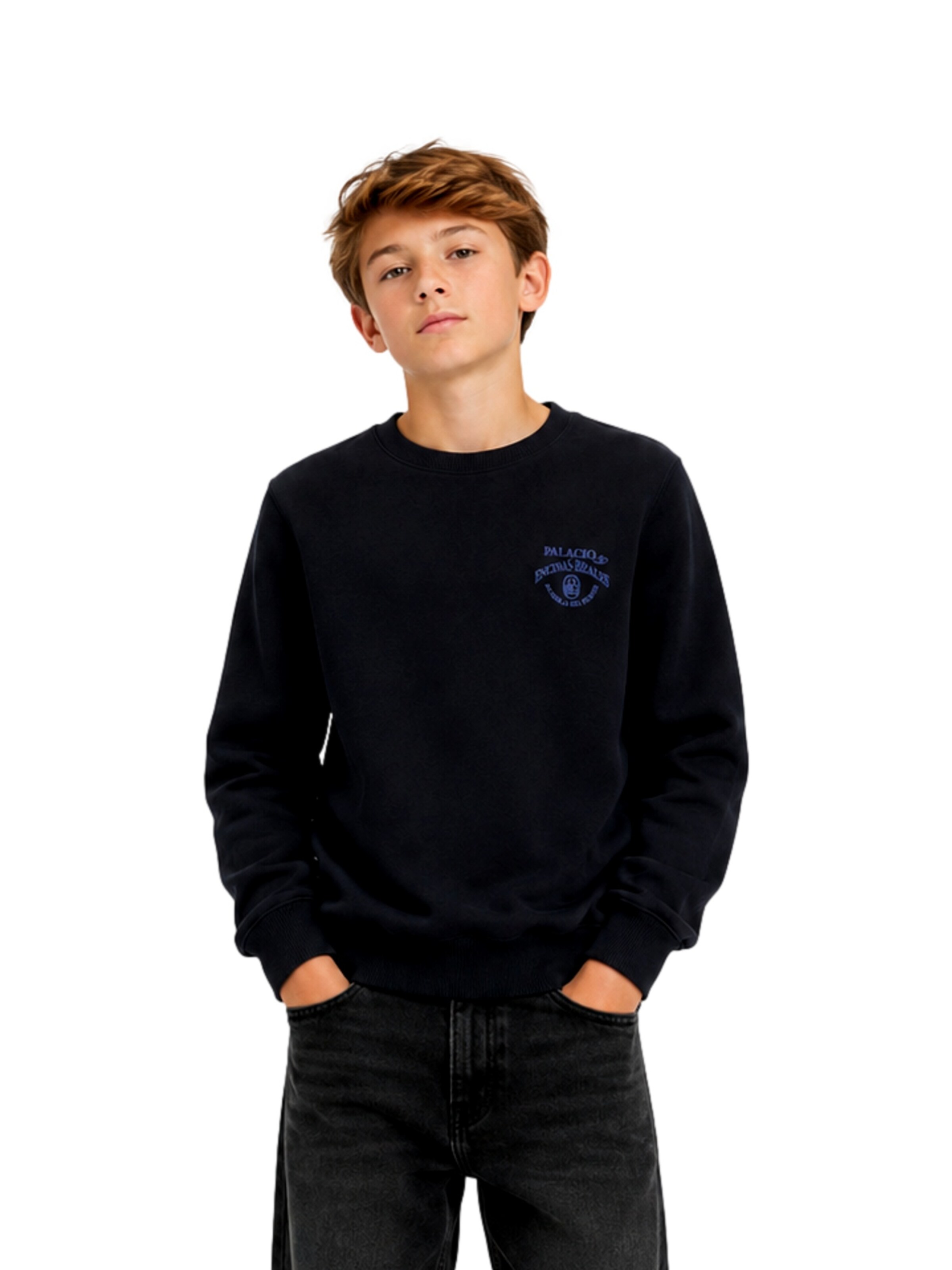 Jack & Jones Junior Sweatshirt 'Chamberi' i sort: forside