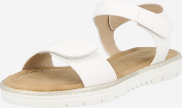 ABOUT YOU - Sandalias 'Amanda' en blanco: frente