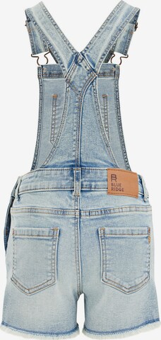 WE Fashion Regular Dungarees in Blue