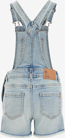 WE Fashion Regular Dungarees in Blue