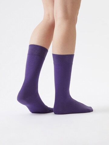 Von Jungfeld Socks in Purple: front