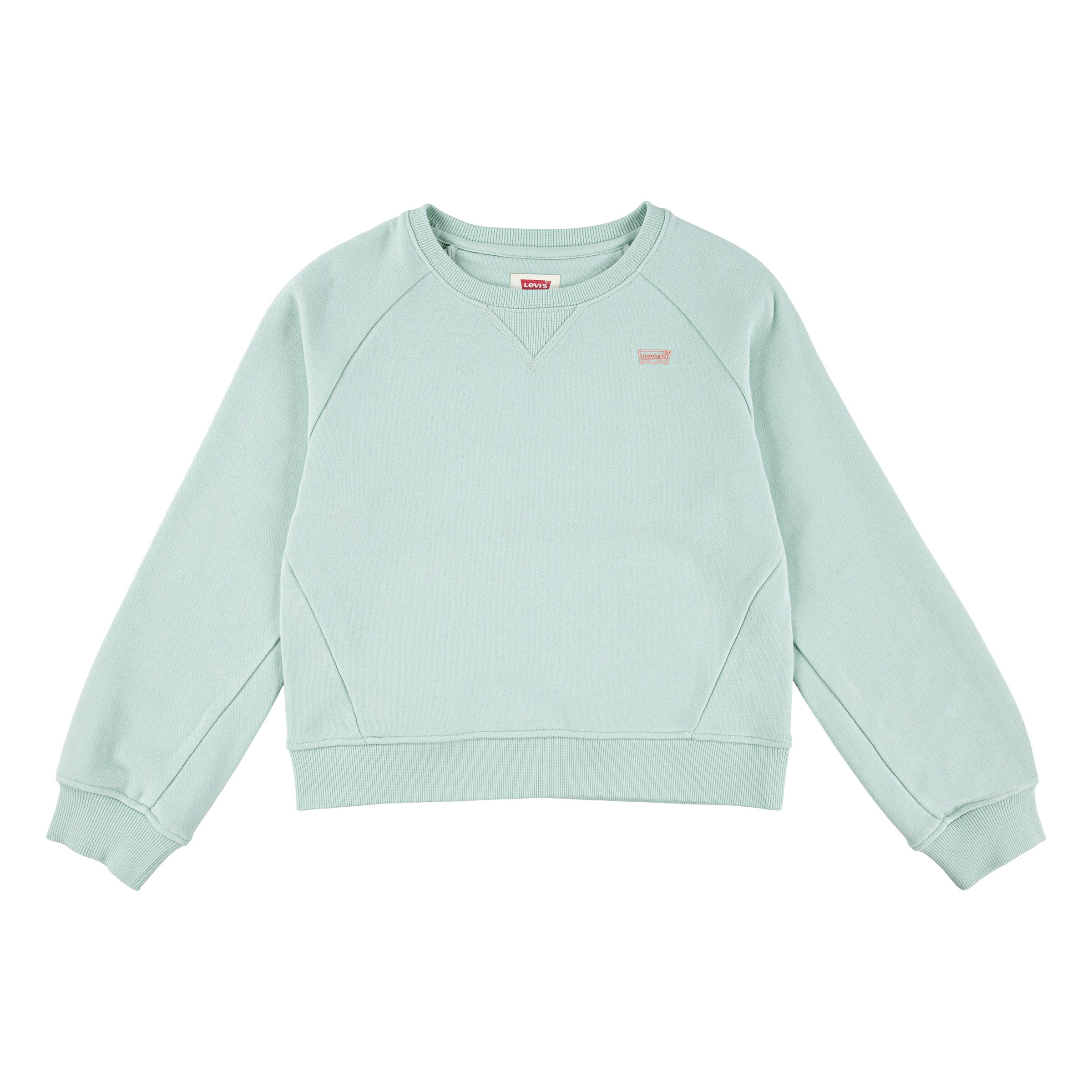 Levi's Kids Sweatshirt in Green: front