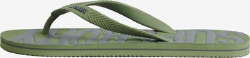 Superdry T-Bar Sandals in Green: front