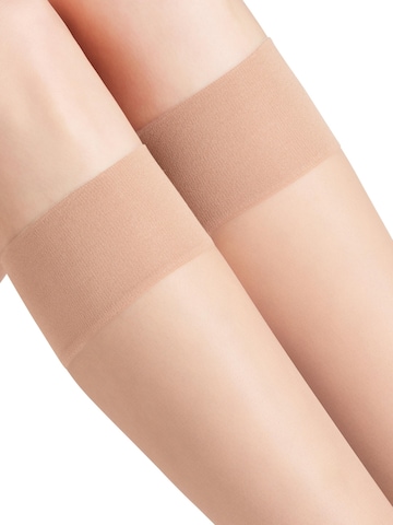 FALKE Knee High Socks 'Pure Matt' in Brown