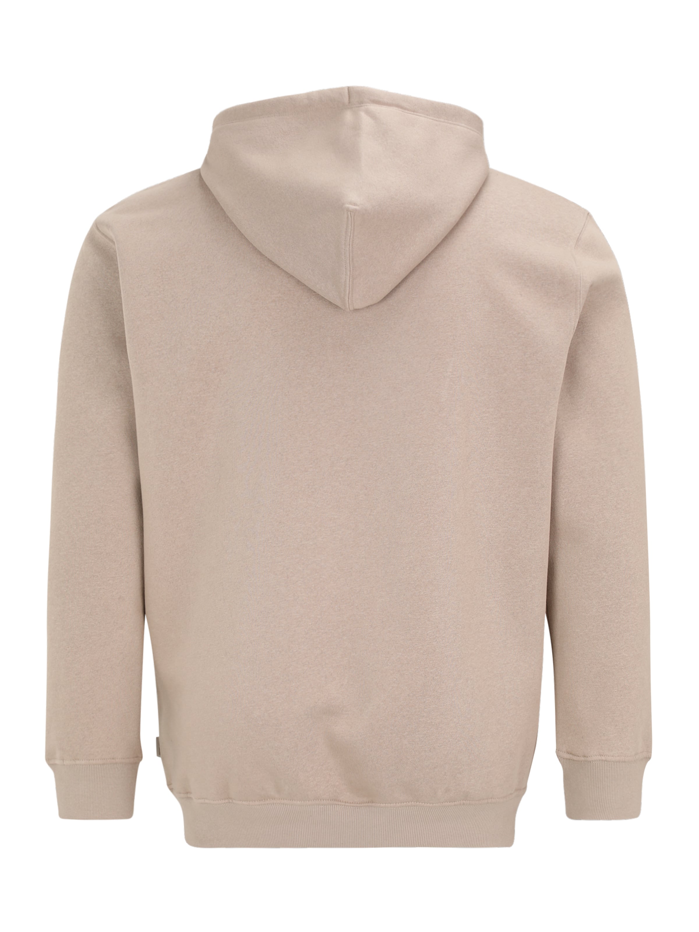 Jack & Jones Plus Sweatshirt 'JORInwood' in Grey