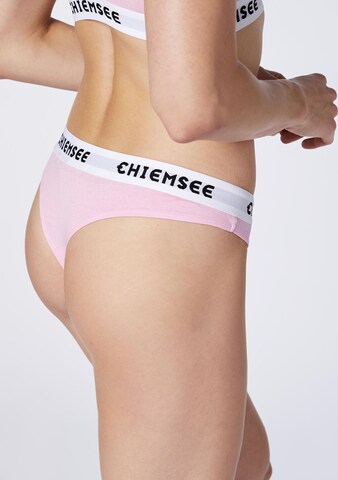 CHIEMSEE Thong in Mixed colors