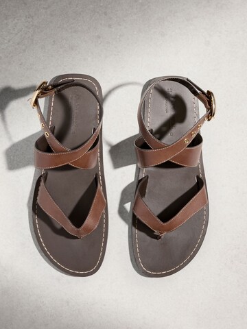 Next T-bar sandals in Brown