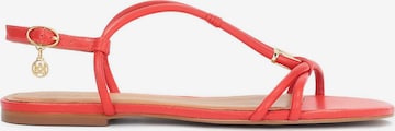 Kazar Sandale in Rot