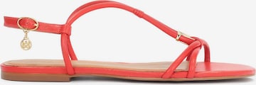 Kazar Sandal in Red