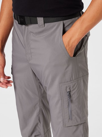 COLUMBIA Normalny krój Spodnie outdoor 'Silver Ridge™' w kolorze szary