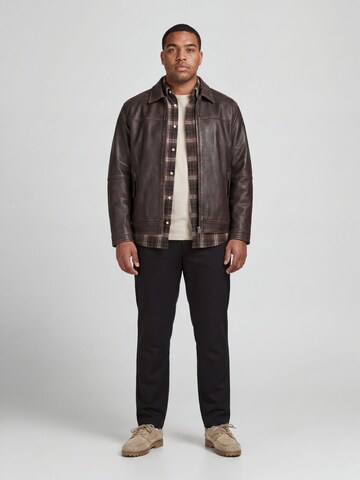 Regular Pantalon chino 'JPSTOLLIE DEVON' JACK & JONES en noir