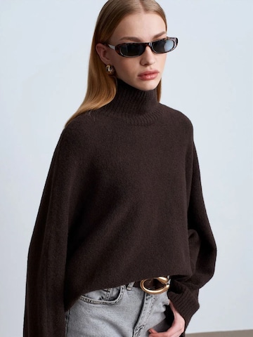 Pullover 'Pullover' di Dilvin in marrone