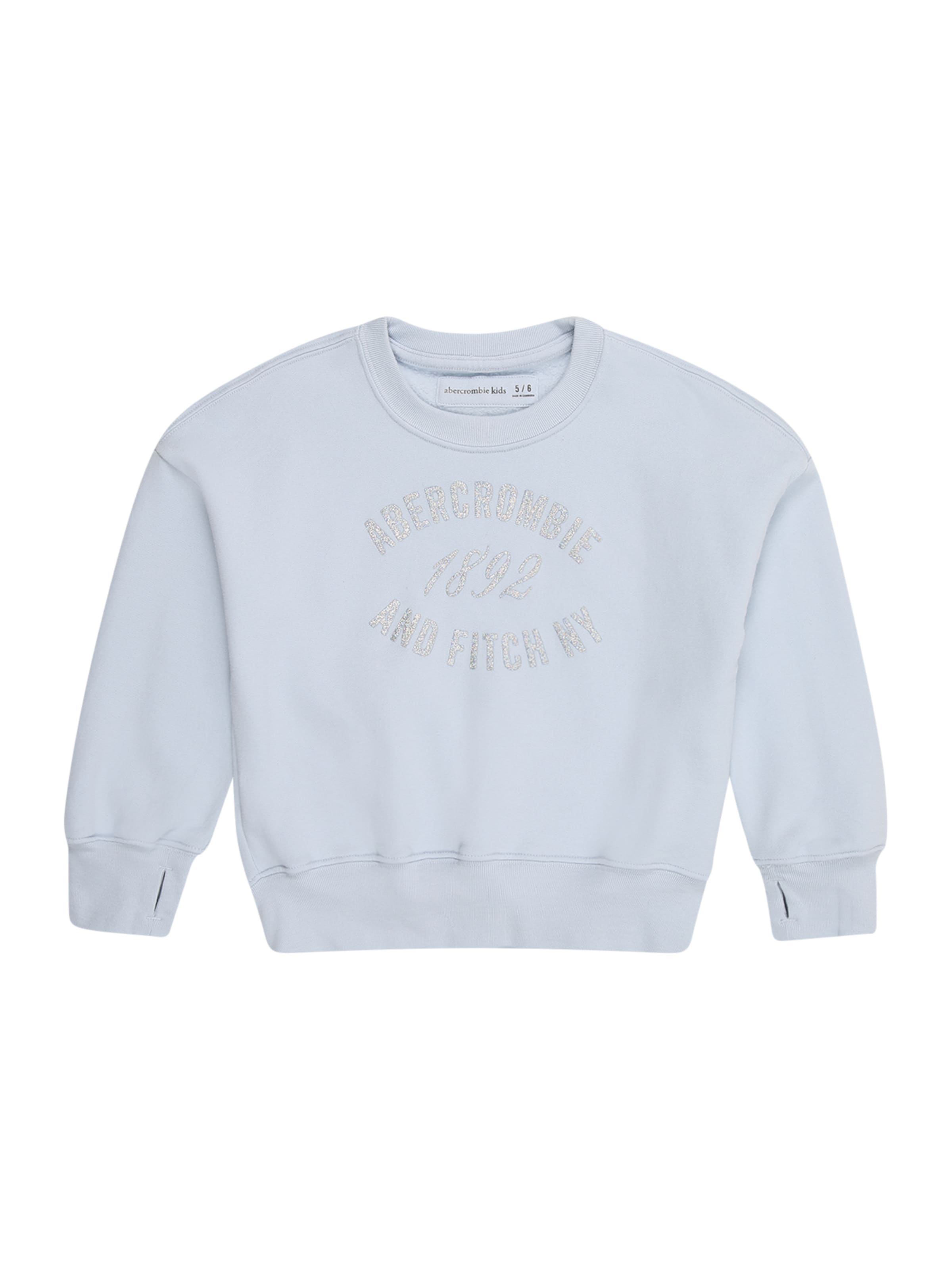 Abercrombie & Fitch Sweatshirt 'ROSE BOUQUET' i blå: forside
