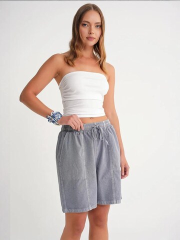 MixRay Shorts in Grau