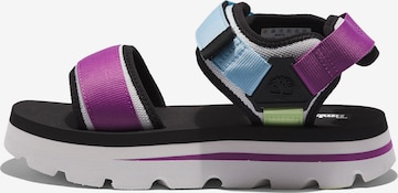 TIMBERLAND Strap Sandals 'Euro Swift' in Purple: front