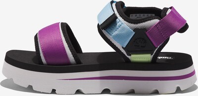 Sandalo con cinturino 'Euro Swift' TIMBERLAND di colore blu / lilla chiaro / nero, Visualizzazione prodotti