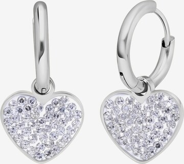 Lucardi Earrings in Silver: front